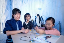 홍콩 오션파크, 애니멀 디스커버리 페스트 개최