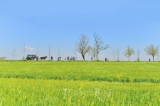 천년맞은 전라도의 봄의 색을 찾아서...4월 나들이 추천 코스는?