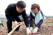 춘천시, 후평·풍물 야시장 개장
