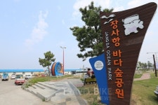 축제로 가득한 4월의 속초, 맛집까지 찾아볼까?