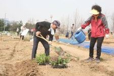 봄 맞아 전국 지자체서 관련 축제 잇따라