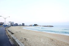 속초여행, 속초의 영원한 매력 포인트 장사항과 맛집