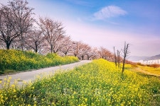 주말여행 즐기기 좋은 부산 여행지와 남천동 맛집은?