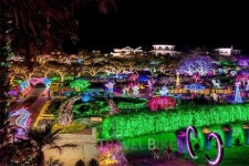 제주 허브동산, 양귀비꽃 축제 개최