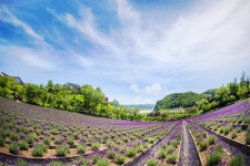 가정의 달, 놓쳐선 안 될 축제는?