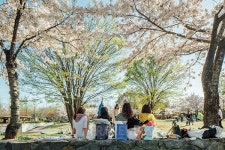 공원서 즐기자! 서울숲 파크데이 페스티벌 개최