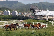 5월 연휴, 전라북도 장수에서 즐기는 가족여행