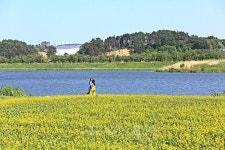 화창한 어린이날, 온 가족 강릉여행 떠나볼까? 자연산 활어회 횟집 찾아 주문진 맛집도