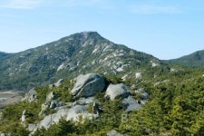 오감만족 태안 여행, 안면도 가볼 만한 맛집은?