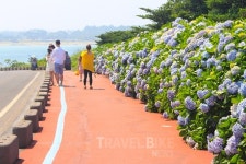 길을 헤매도 좋은 제주도 6월 놓치지 말아야 할 제주여행지 베스트9