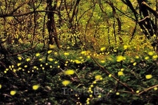 길을 헤매도 좋은 제주도 6월 놓치지 말아야 할 제주여행지 베스트9