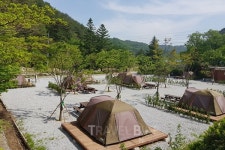 올여름 가족과 함께 떠나는 가성비 갑 가족캠핑은?