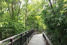 미세먼지, 무더위 속 힐링명소, 서울 도심 녹음길