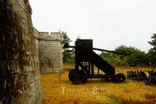 이색 여행지로 떠나는 속초, 대포항 맛집과 가볼 만한 곳은?