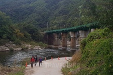 [여름방학여행] 협곡열차 지나는 한국의 프로방스 (5)양원역 라벤더 마을