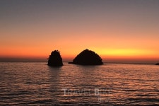 [안면도 여행] 드라이브 하고, 물놀이 하고, 맛집 가고! 무더위 이기는 방법