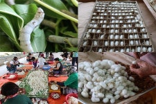 [국내여행] 여름방학, 시골투어로 가족과 함께 충남 공주, 1박 2일 농가 맛집 힐링 여행 (2)