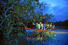 여름방학, 여름휴가 알짜배기 투어! 완전 새로워진 쿠알라룸푸르 시티반딧불 시즌2