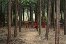 여름에 떠나는 국내여행, 녹음으로 떠나는 장흥