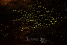 [말레이시아여행] 다른 것은 필요 없다! 오직 반딧불 쿠알라룸푸르 심플반딧불투어