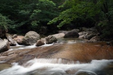 [여름휴가] 경북 청송, 문경, 울진에 가면 꼭 가봐야 할 대표 피서지 BEST3