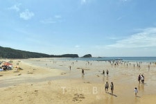 8월맞이 안면도로 피서 여행 꽃게장 맛집에서 미식도 즐겨볼까