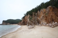 시원한 파도의 이야기 들어요! 아이들과 함께 걷는 태안 해변길, 안면도 맛집