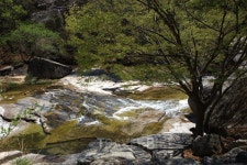 소백산맥 따라 만날 수 있는 충북 괴산 대표 계곡 TOP 5