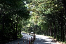 소백산맥 따라 만날 수 있는 충북 괴산 대표 계곡 TOP 5