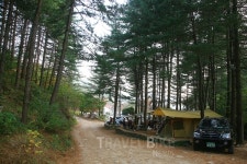 캠핑의 계절이 돌아왔다 (2)포천 유식물원 캠핑장과 맛집