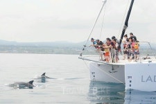 9월 힐링은 가을 풍경 따라 제주여행 애월 맛집에서 방점