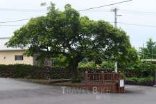 샘과 바다 품은 오소록 제주도 농촌마을과 신박한 애월 맛집