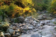 가을에 가볼만한 원주, 맛집과 함께 힐링여행