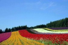 배틀트립, 부부가 함께 떠나기 좋은 낭만 여행 홋카이도