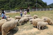 시원한 가을 바람 타고 남해여행, 맛집까지 가볼까?