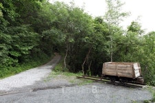 운탄고도를 아시나요? 석탄 실어 나르던 옛길 탐방과 강릉 맛집
