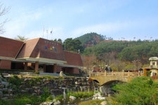 일상의 활력 충전 강릉 대관령 여행, 주문진 맛집에서 마무리