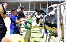 자연과 친구되는 가을여행, 용인 갈만한 곳과 맛집