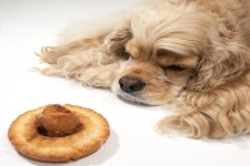 에어비앤비 트립과 함께 떠나는 세계 음식 여행