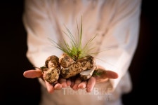 특급호텔로 떠나는 미식여행