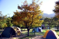 가을 캠핑은 속초에서... 설악산 단풍과 함께 맛집까지 가볼까?