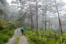 한국관광공사 추천, 11월 걷기여행길 TOP6