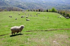 낭만 따라 걷는 강릉 평창 1박2일 뚜벅이 여행