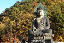 오색으로 물든 속초, 신흥사 따라 단풍여행과 맛집 여행