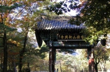 오색으로 물든 속초, 신흥사 따라 단풍여행과 맛집 여행