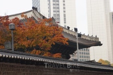도심 최고의 지하철 단풍여행지 베스트3! 충무로역, 시청역, 안양역