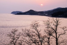 활력 찾아 서울 근교 강화 여행, 가볼 만한 맛집은?