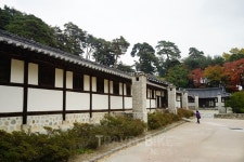 늦가을, 차분함이 필요할 때 떠나는 강릉여행