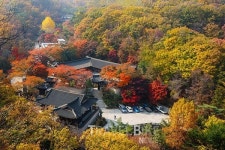 눈물의 고별식 이번 주 절판 서울 근교 단풍명소35