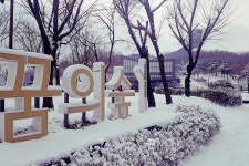 두 번째 눈 오는 날 데이트하기 좋은 서울도심공원 BEST